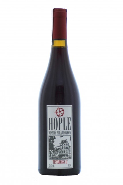 Hople Testarossa 17